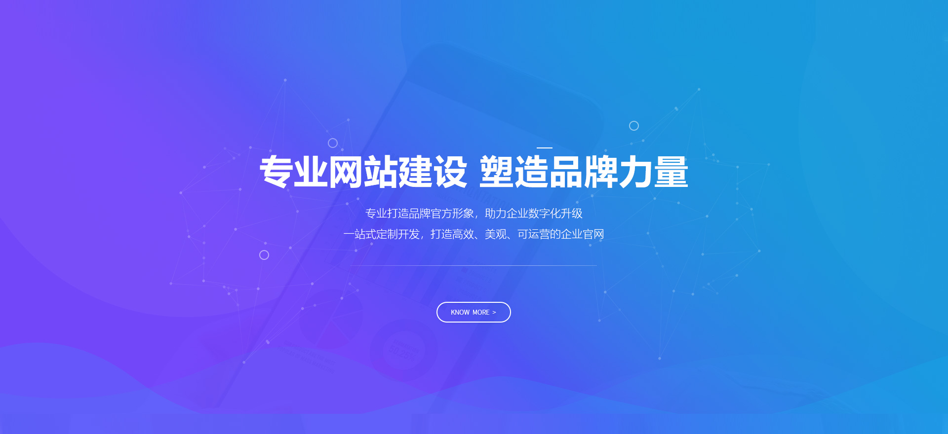 双台子建站-专业网站建设 塑造品牌力量