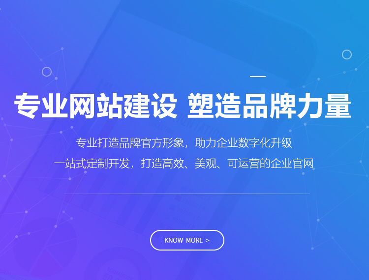 双台子建站-专业网站建设 塑造品牌力量